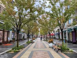 Yi Ou Lai Shanghai Village Shopping Destination Plat Studio In 2020 Urban Landscape Design Streetscape Design City Design