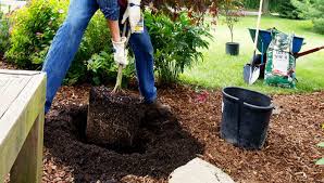We believe in cutting tool innovation to speed up metalworking. Dig A Better Hole Plants Posts And More