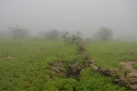 خريف صلالة Https Www Nozha365 Com 2020 04 Blog Post 24 Html Country Roads Farmland Outdoor