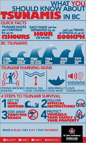 After months of finger pointing, political jockeying and several technical glitches, the indian ocean tsunami warning and mitigation system was opened in 2007 at a cost of. Tsunamis Disaster Preparedness Tsunami Emergency Prepping