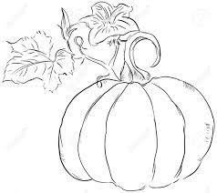 Maybe you would like to learn more about one of these? The Fruit Of The Pumpkin With Leaves And Blossoms Ovary Royalty Free Cliparts Vectors And Stock Illustration Image 15627792