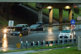 Check spelling or type a new query. What Happens To Cars Caught In A Flood Newscut Minnesota Public Radio News