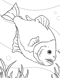 Pin On Fish Tank Coloring Page