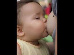 Portabebés 1/2 www.trapitosynudos.com