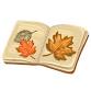 Nature Detectives: Leaf Lab event image