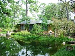 Best Places To See Cherry Blossom In Houston Kid 101