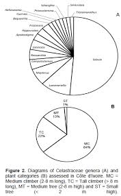 Image result for Hippocratea pallens