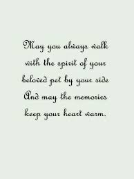 Walk Beside Me Pet Loss Grief Pet Loss Pet Loss Quotes