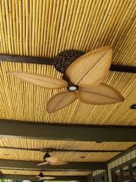 Painted Decorated Ceilings With Images Types Of Ceilings Bamboo Ceiling Bamboo House