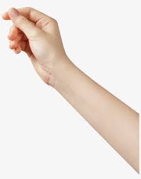 When do you tell someone to hold something? Personwomans Hand Hand Holding Something Png Transparent Png 3648x4864 Free Download On Nicepng