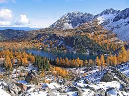 Larch Lake Washington Trails Association Washington Hikes Camping And Hiking Outdoors Adventure