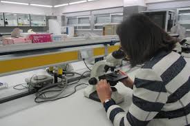 Catalina Lara Coronado: La huella de una mujer en la ciencia