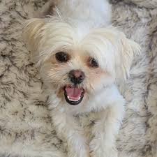 PRINCE GEORGE'S ANIMAL SERVICES FACILITY