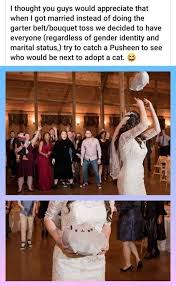 Pin By Gsh On Winter Wedding Wedding Meme Wedding Toss Cat Wedding