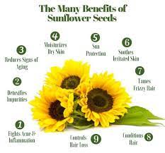 Benefits Of Sunflower Oil Sunflower Oil Benefits Sunflower Oil Skin Sunflower Lecithin Benefits