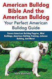 American bulldog american bulldog rescue ethical bull breed rescue and referral. American Bulldog Bible And The American Bulldog Your Perfect American Bulldog Guide Covers American Bulldog Puppies Mini Bulldogs American Bulldog Training Johnson Bulldog And More Ebook Manfield Mark Amazon In Kindle Store