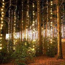 Best Wedding Forest Theme Enchanted Garden Fairy Lights Ideas Enchanted Forest Wedding Forest Wedding Ceremony Wedding Lights
