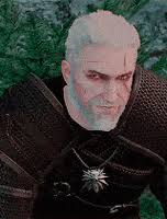 Every game has one. : r/thewitcher3