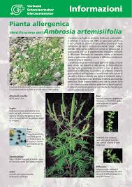 La migliore soluzione per fiore giallo verdognolo cruciverba, ha 6 lettere. Informazioni Jardinsuisse Ticino