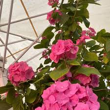 Eku inn befindet sich in färberstraße 39, 90402 nürnberg, germany. Eku Inn Altstadt St Lorenz Nurnberg Bayern