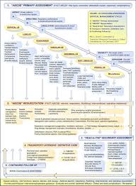 The abcde rule of skin cancer can save your life. How To Write Nursing Notes Abcde Arxiusarquitectura