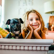 Maybe you would like to learn more about one of these? Bangor Humane Society Pet Adoption Volunteer Donate Bangor Maine