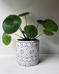 Choose cut flowers or flowering plants for a desk's relationship corner. Feng Shui Office Tips For Maximum Productivity Real Simple