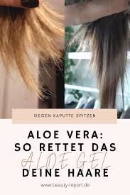 gegen trockene spitzen und haarausfall so gut ist aloe vera gel fur das haar haare pflegen haare aloe vera