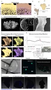 Find an affordable philadelphia, pa roofer and get connected with a trusted company and a fair price to replace or union roofing 12260 townsend rd, philadelphia, pa 19154. Trabecular Bone Organoids A Micron Scale Humanised Prototype Designed To Study The Effects Of Microgravity And Degeneration Npj Microgravity