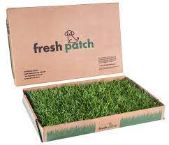 There are fresh grass puppy potty subscriptions but the initial outlay can cost in excess of $200 and then there are fortnightly subscriptions for grass delivery that cost upwards of $30. Fresh Patch Cat Standard Pet Grass Pad 16 X 24 Inches In Size