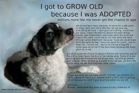 Find and adopt a pet on petfinder today. Evansville Homeless Pets Home Facebook