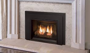 Installing a modern gas fireplace insert is a quick, affordable way to update the look of a room, add value to your home and lower your monthly home heating bill. Enviro Products Gas E20 Clean Face Insert