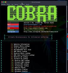 Reconcobra Todo En Uno Para Information Gathering Esgeeks Informatica Y Computacion Seguridad Informatica Informatica Forense