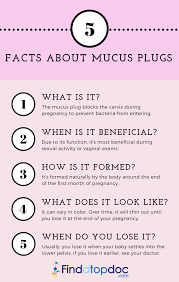 If you happen to be one of those moms that lose their mucus plug before the due date — don't panic! What Is A Mucus Plug What Does A Mucus Plug Look Like