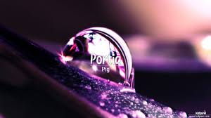 Click on the microphone icon and begin speaking portia. Portia Name Pronunciation In 20 Different Languages
