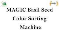 MAGIC Basil Seed Color Sorting Machine - YouTube