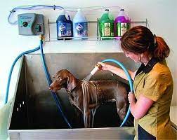 The Bathmaster Animal Bathing System Groomer S Choice Dog Grooming Diy Dog Grooming Tips Dog Grooming Salons