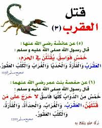 Pin By احفظ الله يحفظك On أحاديث نبوية Islam Facts Islamic Quotes Ahadith