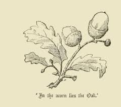 Propagating oak trees is good for the environment and it's an easy, fun project for kids. 14 Logos Ideas Acorn Oak Logo Design