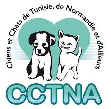 Possibilité d'achat en ligne sur notre site. Chiens Et Chats De Tunisie De Normandie Et D Ailleurs Cctna Refuge Chien Chat Region Haute Normandie