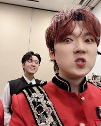 Forestella 포레스텔라