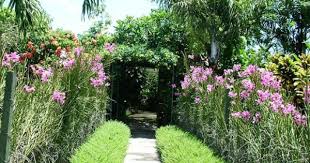 Backyard Orchid Plant Designs Tropical Garden Design Garden Design Tropical Garden