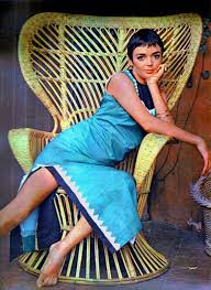 Barbara Steele - Free pics, galleries & more at Babepedia