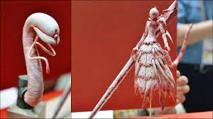 シドニアの騎士」に登場する触手でヒロインなトンデモキャラ「つむぎ」が超絶クオリティで立体化 - GIGAZINE