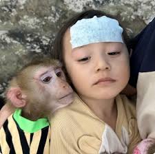 ❤.🌹🏵💮🌸💐 مـــــــــــــــــــر شـــــــــــــــد . . . . . . . . . . .  . . The Ancient 4,500-Year-Old Tunic at the Egyptian Museum. . . . . . . .  #AncientDiscoveries #