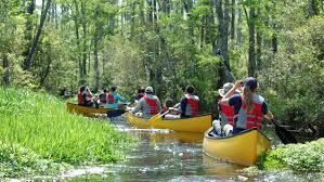 Some of the benefits of ecosystems Lesson 1 Watershed Basics Neef