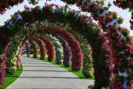 Dubai Miracle Garden Garten Dekoration Blumengarten Botanischer Garten Schoner Blumengarten