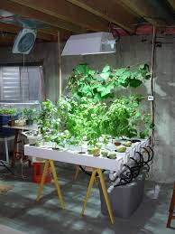 Living walls are not only beautiful but great for the air quality of. 170 Hydroponic Gardening Ideas Hydroponic Gardening Hydroponics Growing Plants
