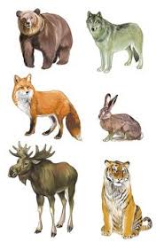 Freebook latzhose tristan, eine pumpig geschnittene latzhose in den größen 56 bis 104. Katri Lindau Katrilindau Profile Pinterest