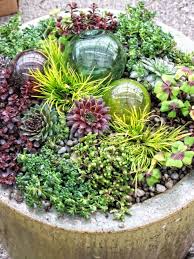 Love The Glass Balls In This Planting Succulents Succulent Wall Garden Succulent Gardening